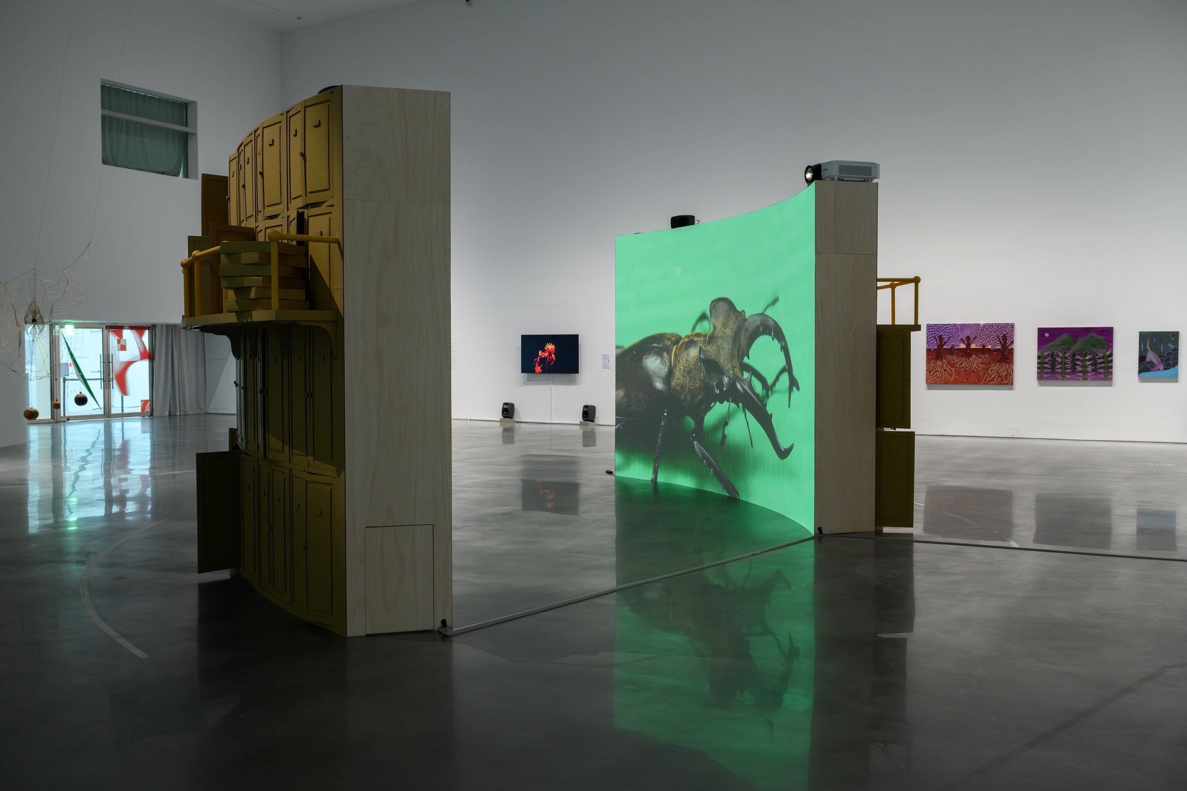 高砂深山鍬形蟲 / Takasago Stag Beetle — 展示風景 1